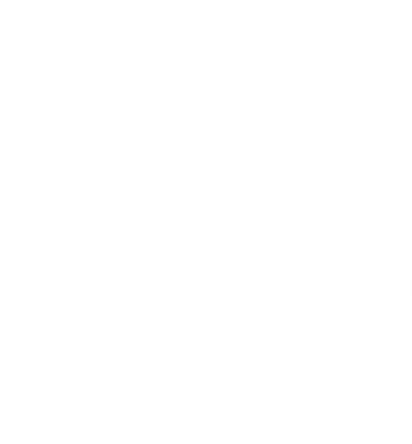Logo Speed Rackets